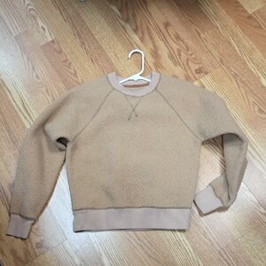 Everlane Beige Crewneck Sweater